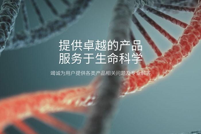 北京永康乐业